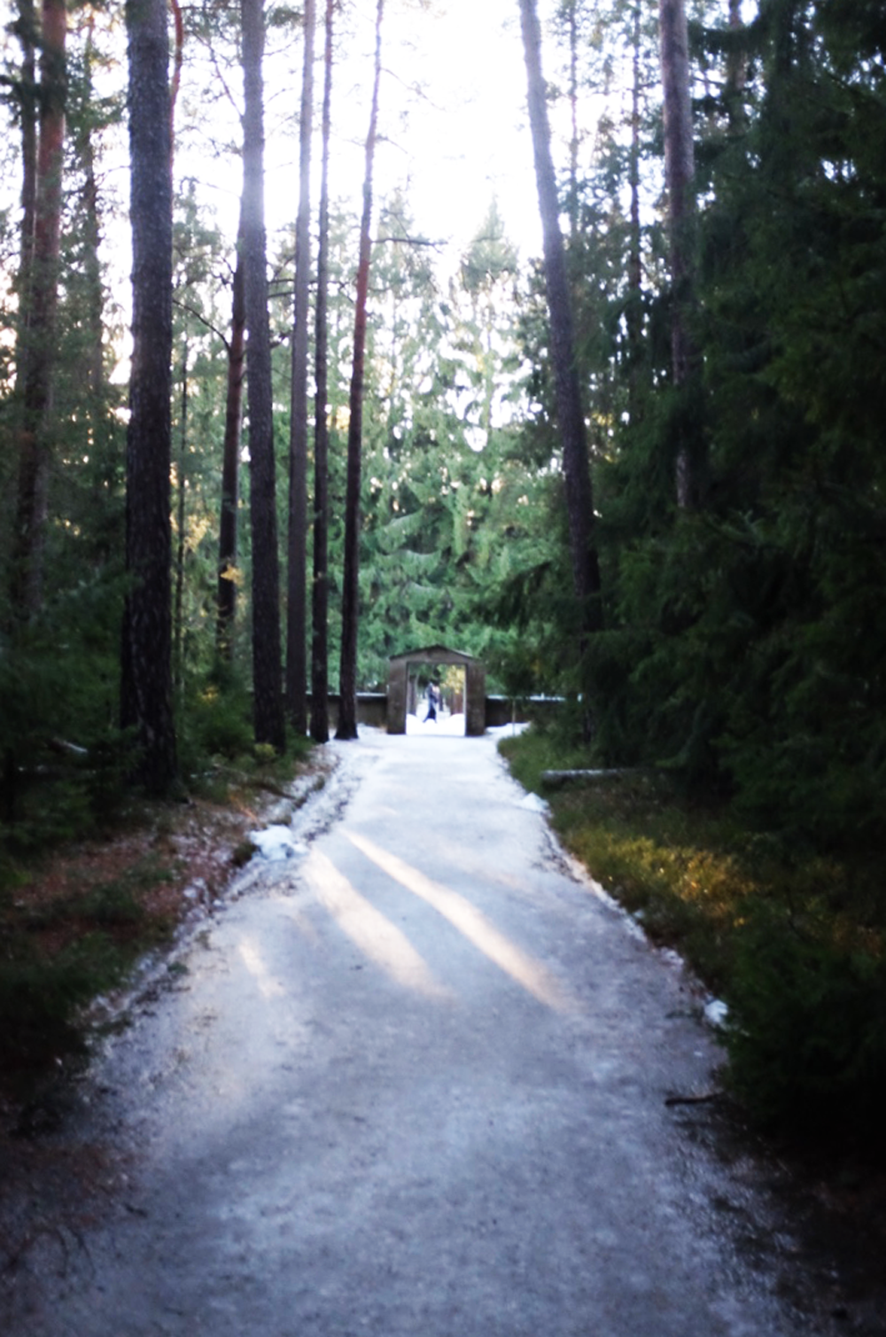 A path in Skogskyrkogården cemetery in Stockholm